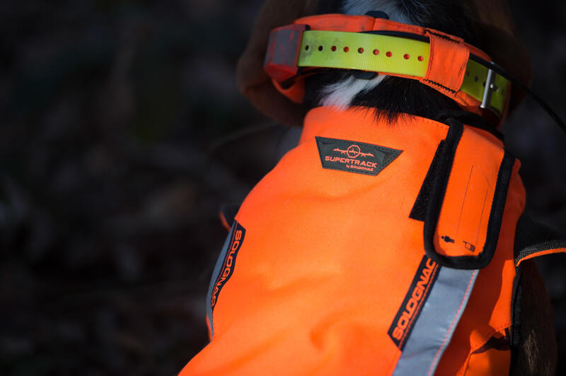 GILET CHIEN SUPERTRACK 900