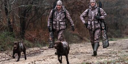Chien de chasse