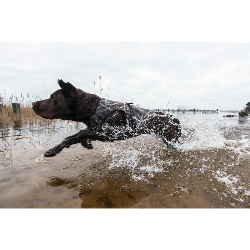 Chaleco  perro Caza Solognac 900 neopreno Calido camuflaje acuático
