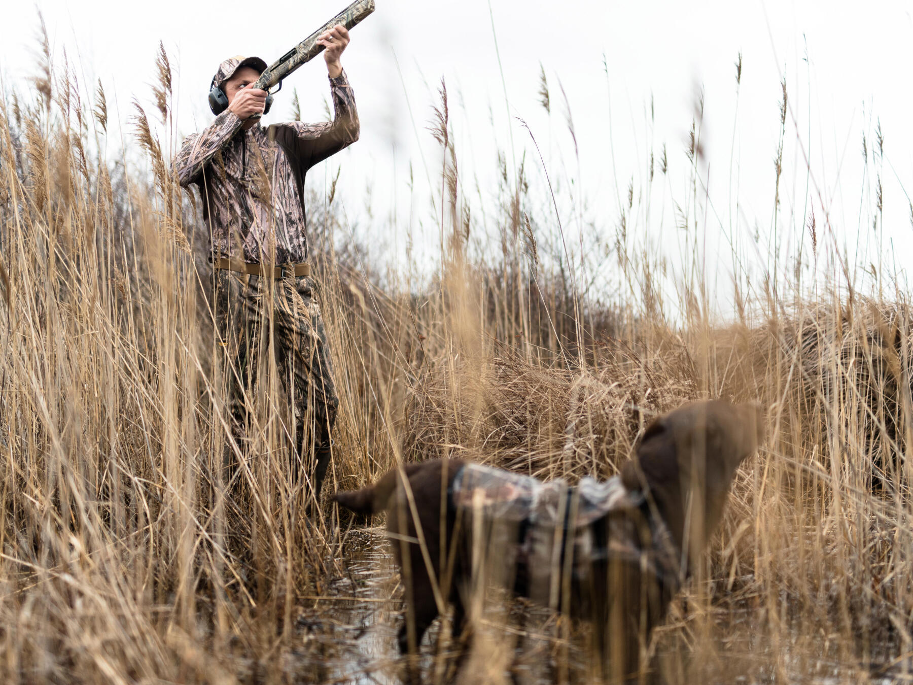 How to choose and use your waterfowl hunting bird call? 