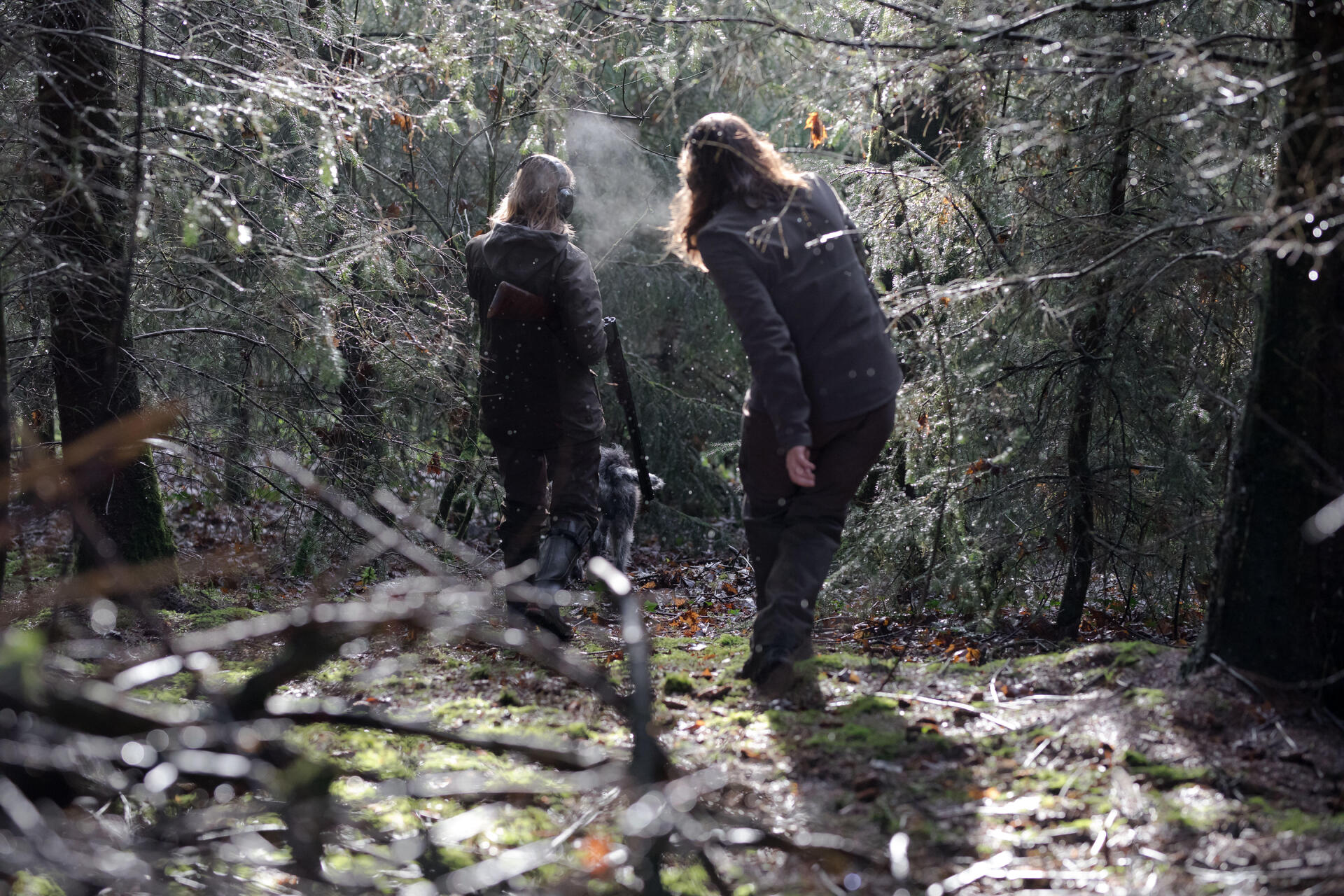 Chasse au petit gibier au bois, Solognac