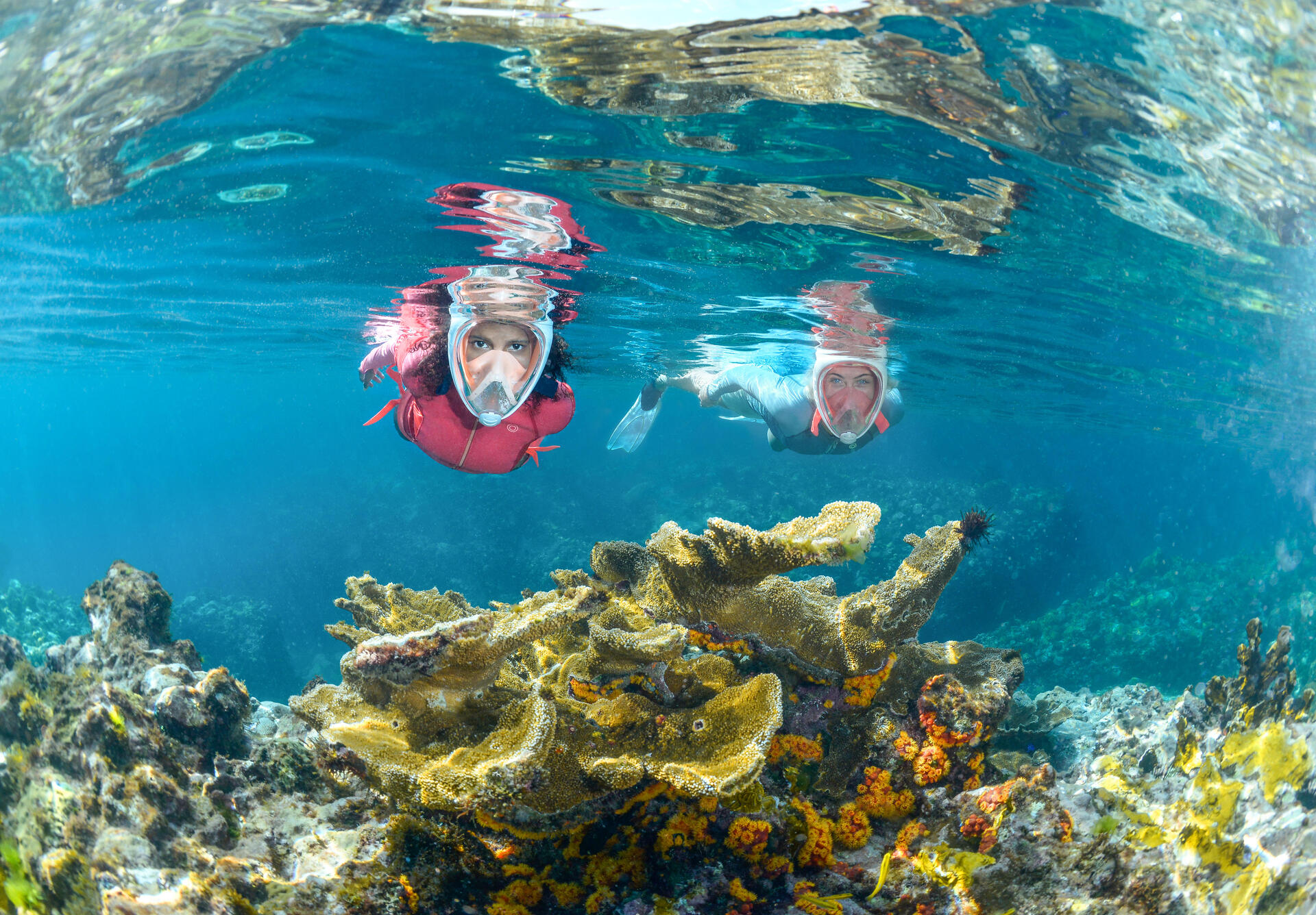 snorkeling e apneia