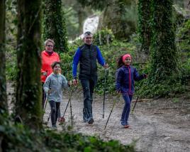 Famille dans la forêt Famille dans la forêt