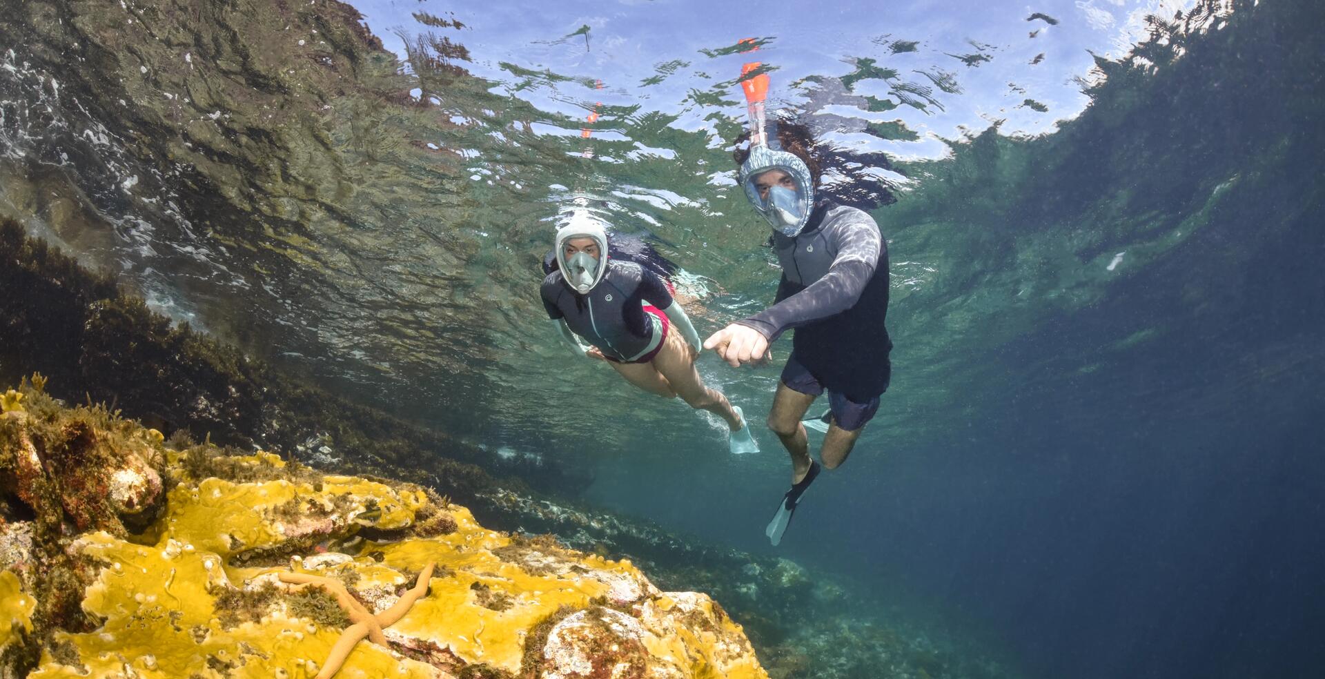 Quel masque de snorkeling choisir ?