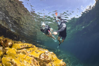 10 reasons to get into snorkelling 