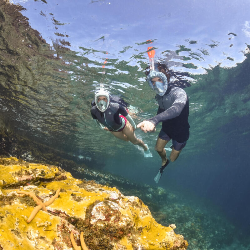 10 reasons to get into snorkelling 