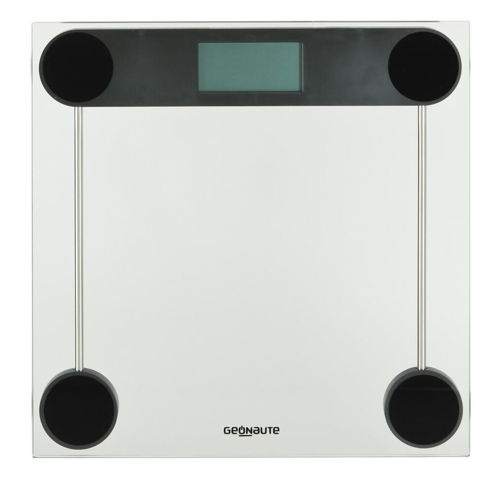Scale 100