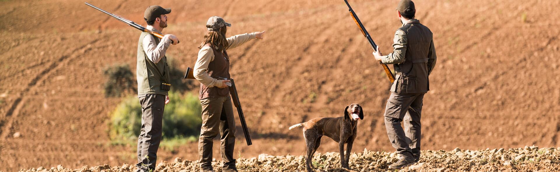 Conseils - Chasse au bois et en plaine