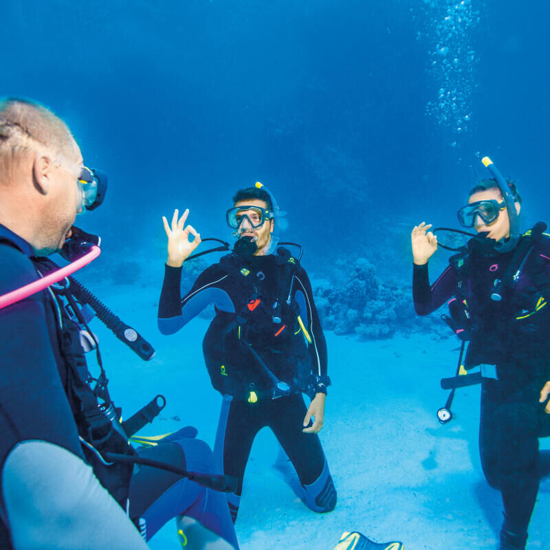 tips diving family couple subea