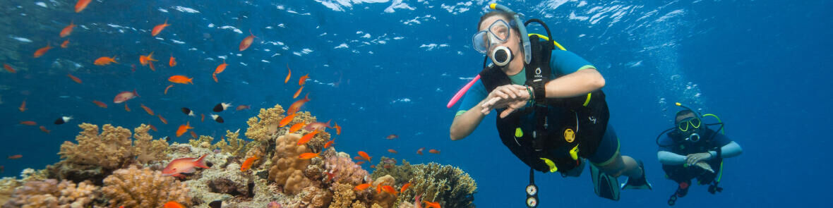 From snorkelling to scuba diving... 