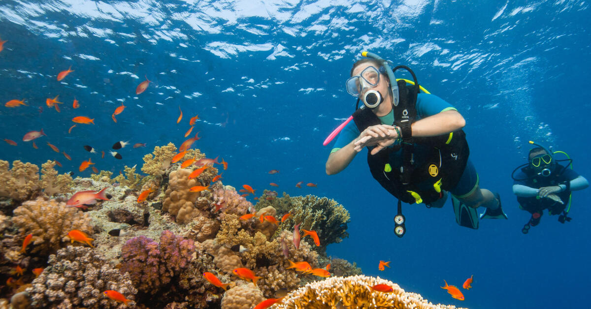 Diving INTRODUCTION TO DIVING 3 DIFFERENT TYPES OF DIVING