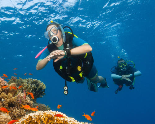 Diving| INTRODUCTION TO DIVING: 3 DIFFERENT TYPES OF DIVING
