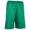 Basketballshorts SH100 Kinder Jungen/Mädchen Einsteiger grün