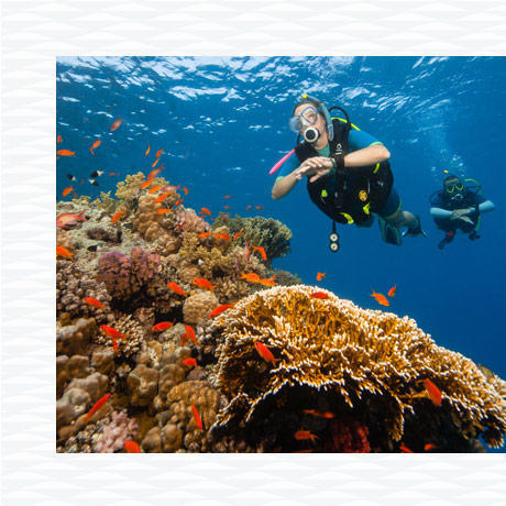 8 eco-friendly ways for ocean preservation subea 8 eco-friendly ways for ocean preservation subea