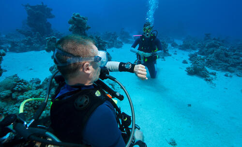 Conselhos de segurança para mergulho e snorkeling 