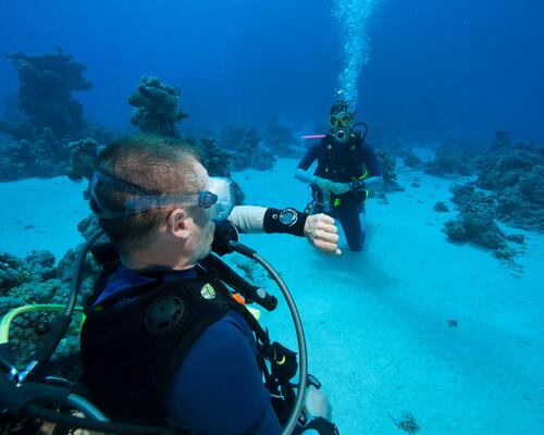 潛水與浮潛的安全建議