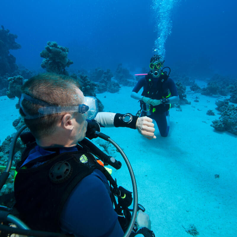 Diving and snorkelling safety tips