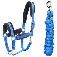Winner Horse Riding Halter + Leadrope Set for Horse and Pony - Royal Blue