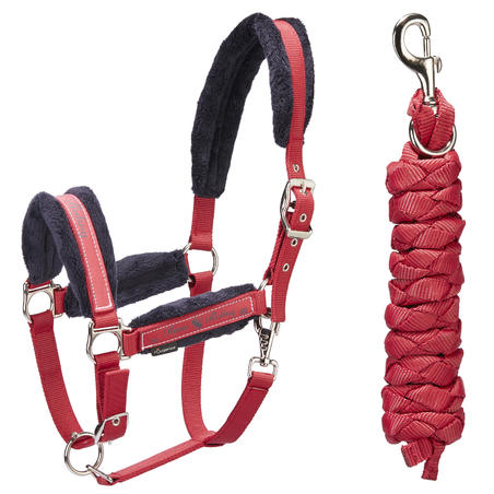 Winner Horse Riding Halter + Leadrope Set for Horse and Pony - Red