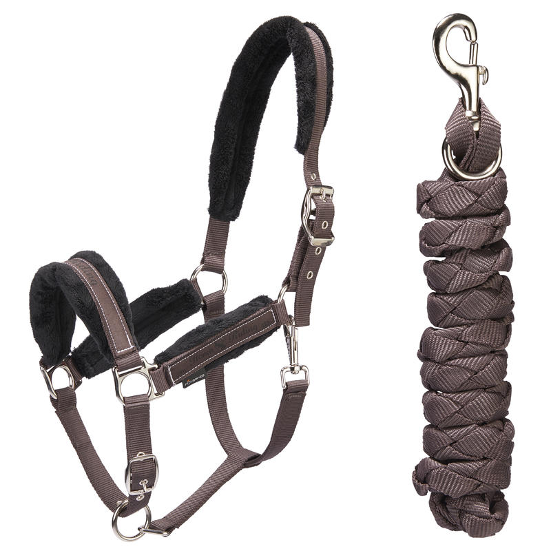 Ensemble licol + longe équitation cheval et poney WINNER marron Ensemble licol + longe équitation cheval et poney WINNER marron