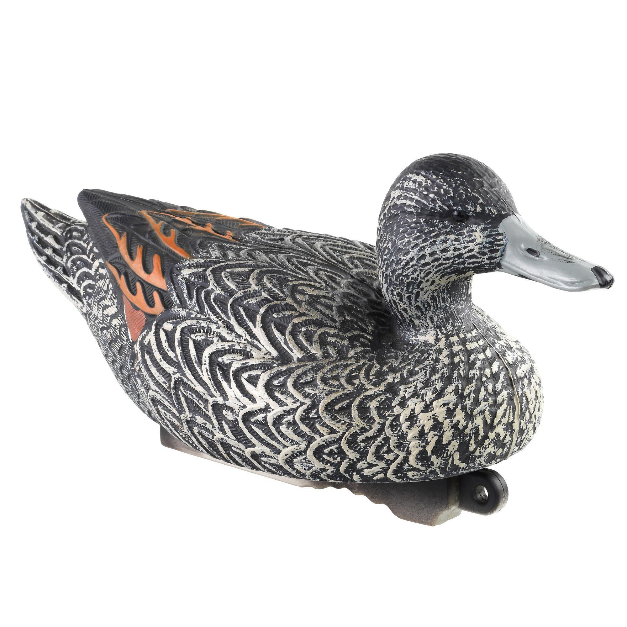 FEMALE PINTAIL CALLER HD