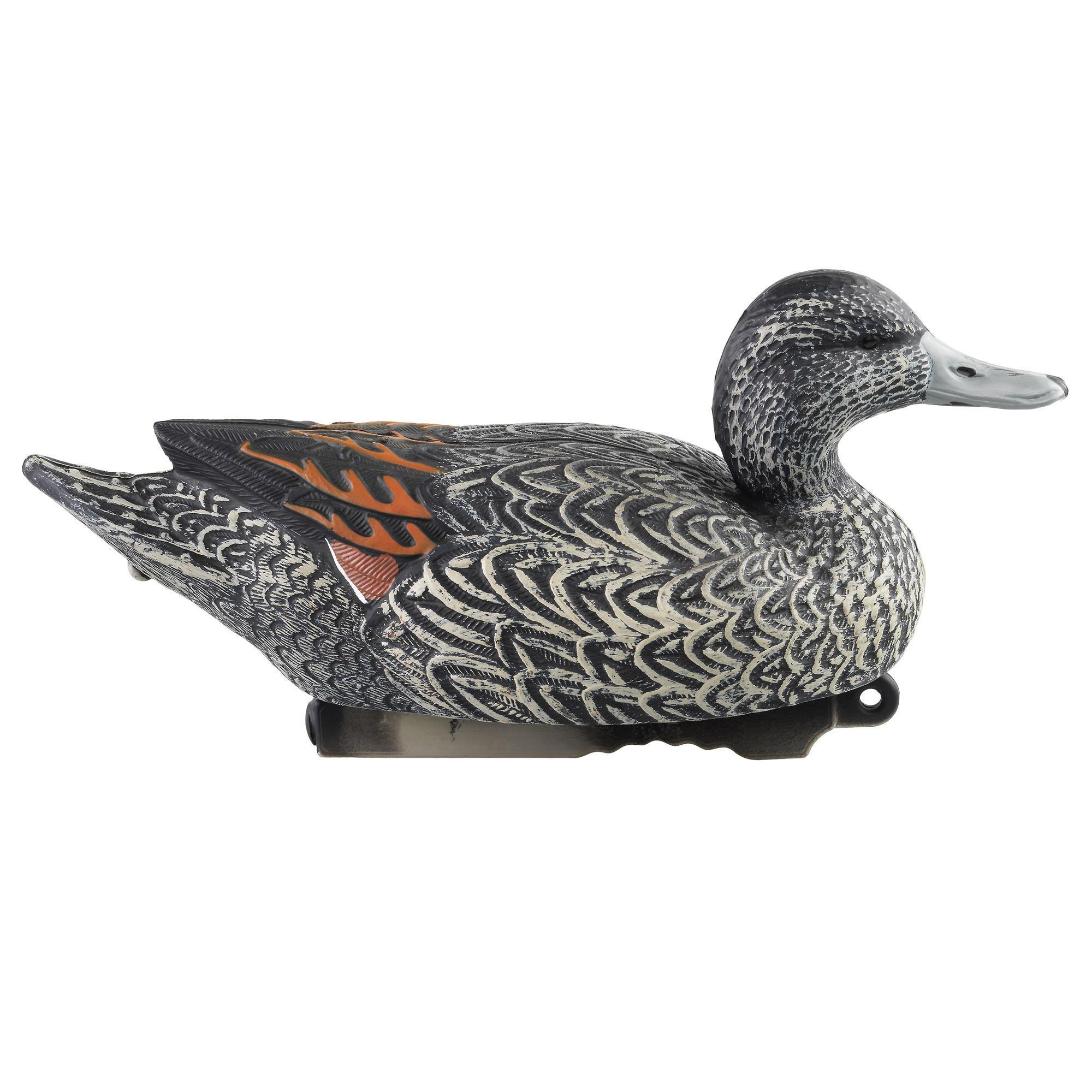 FEMALE PINTAIL CALLER HD