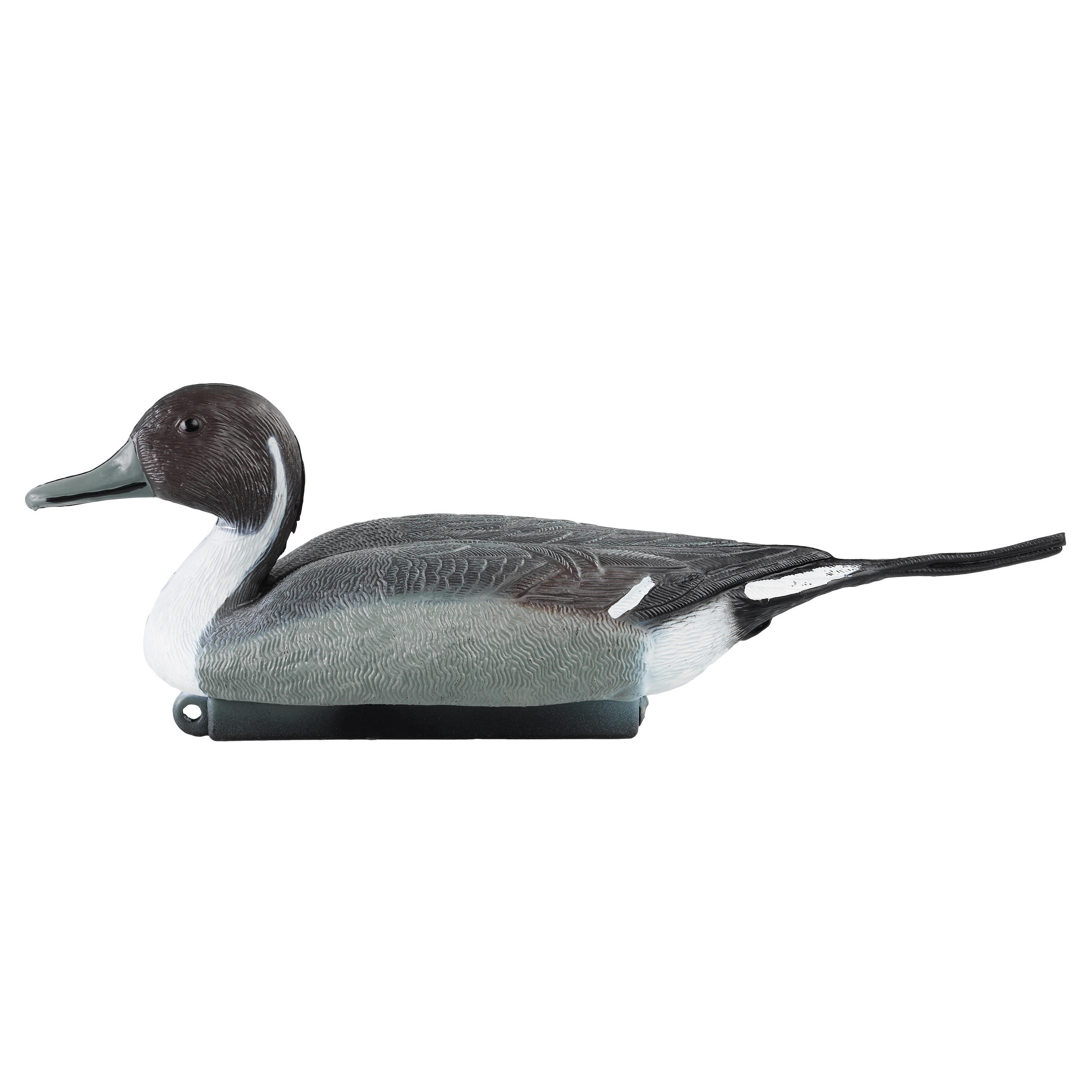 Male Pintail Decoy 2/5