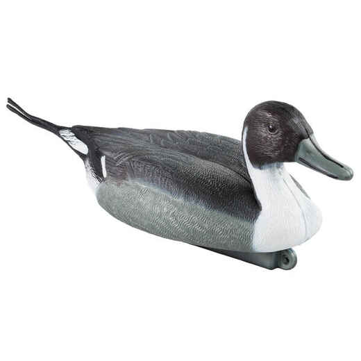 
      Male Pintail Decoy
  