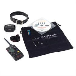 COLLIER DRESSAGE CANICOM 800