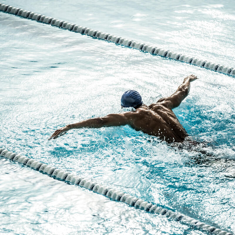 natation sport en club