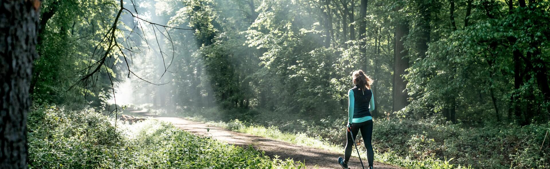 Quelle montre connectée choisir pour la marche ?