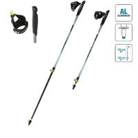 ПАЛКИ ДЛЯ ХОДЬБЫ NW P120