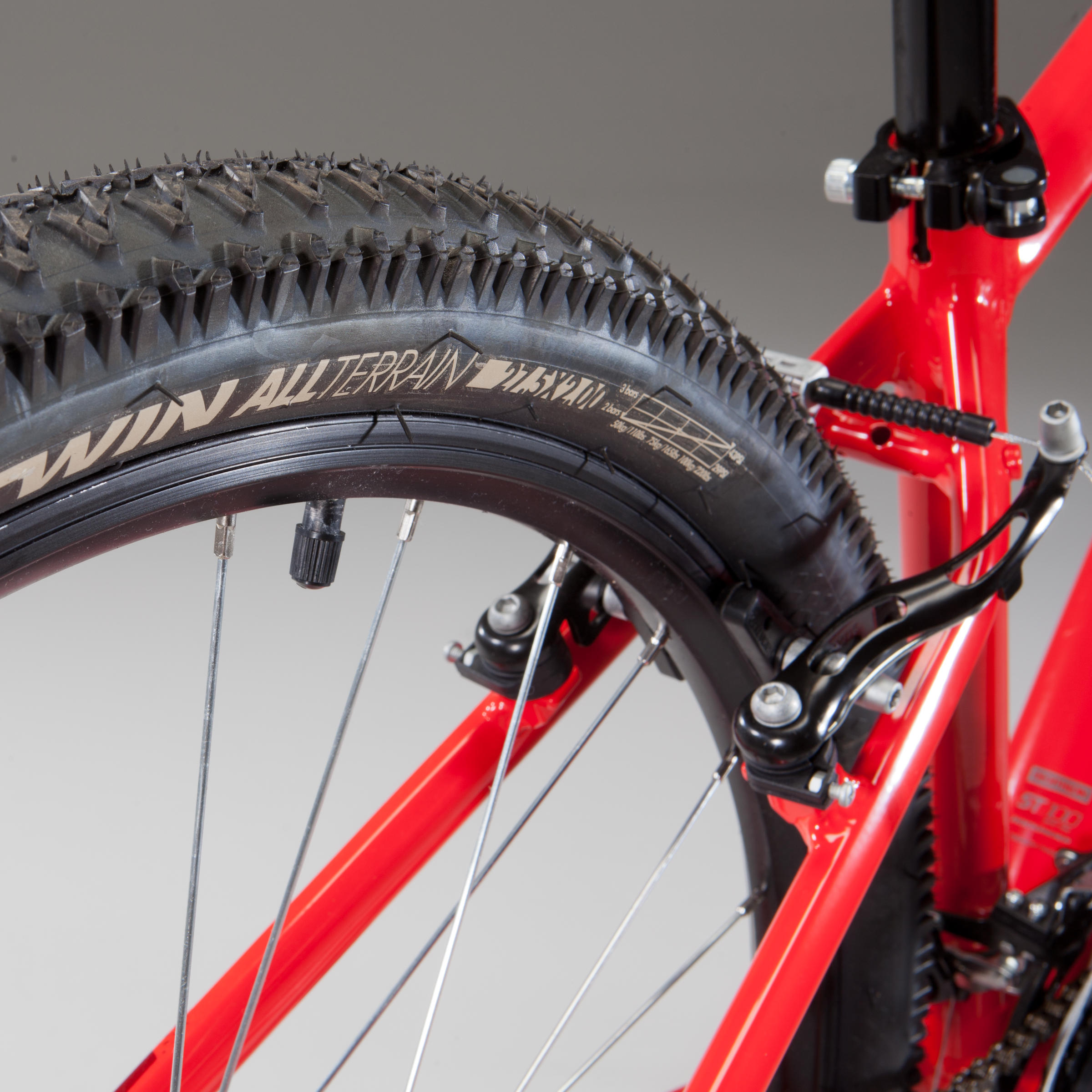 mtb red spokes