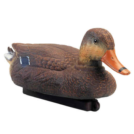 
      FEMALE MALLARD FOAM DECOY
  