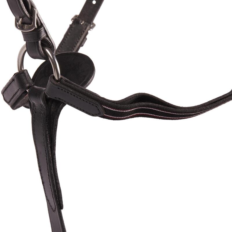 Collier + martingale équitation cheval SCHOOLING noir