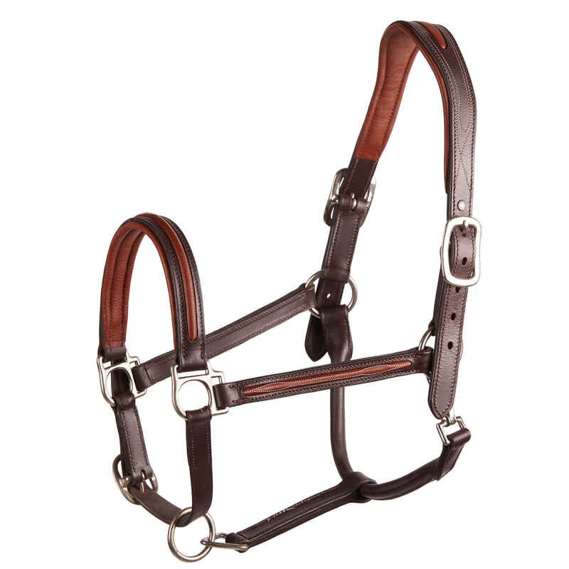 900 Horse Riding Leather Horse/Pony Halter - Brown