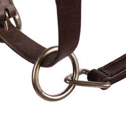 900 Horse Riding Leather Horse/Pony Halter - Brown