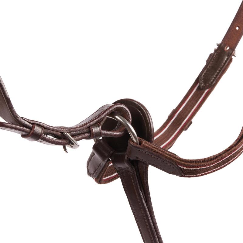 Collier + martingale équitation cheval SCHOOLING marron