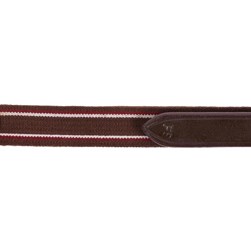 Collier + martingale équitation cheval SCHOOLING marron