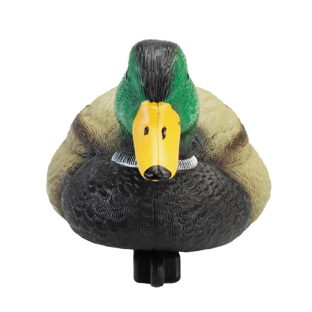 DRAKE MALLARD FOAM DECOY