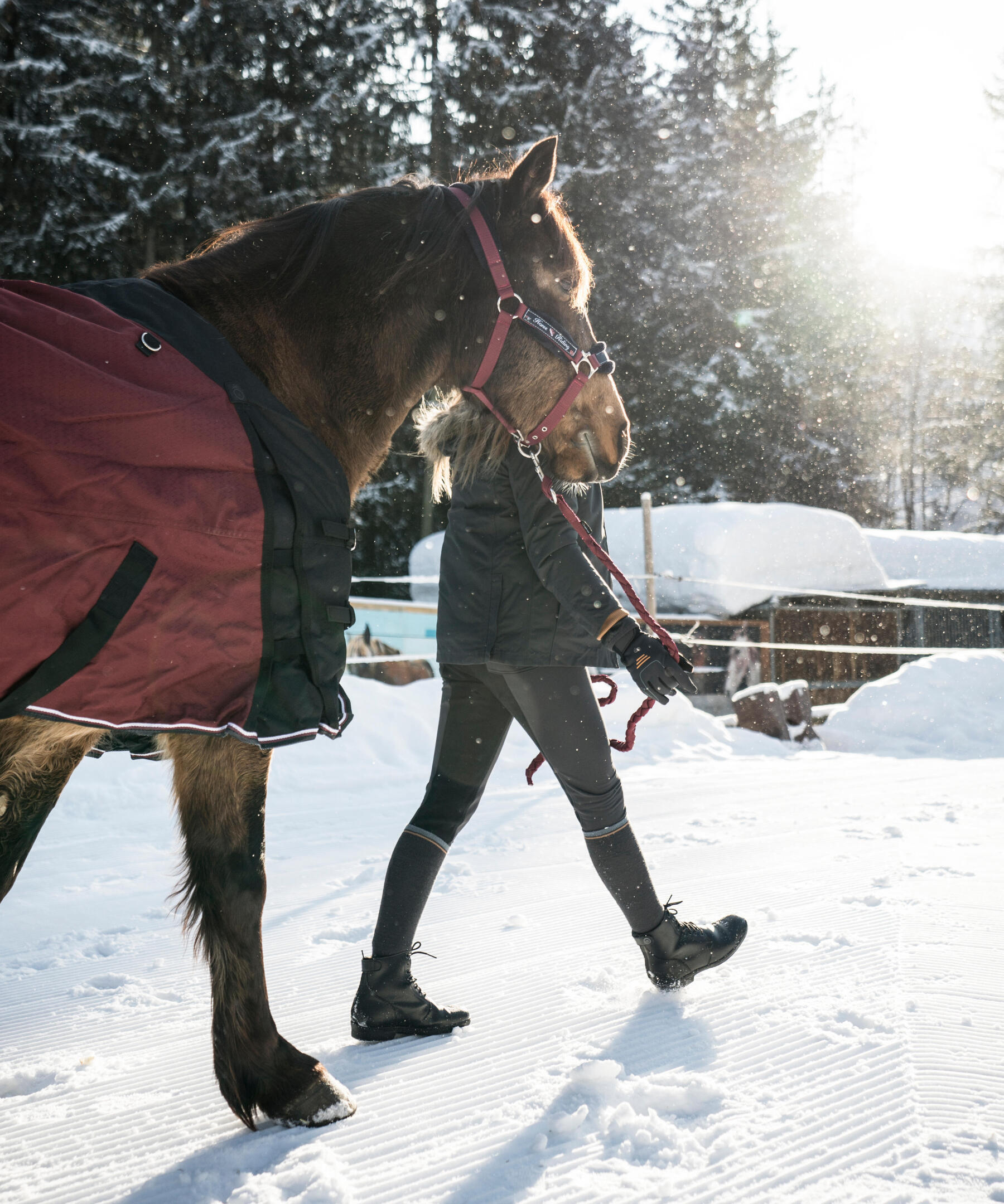 Cavalière en train de sortir son cheval en main dans la neige