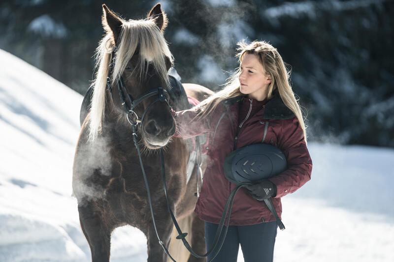 Comment garder la motivation pour monter à cheval en Hiver ?