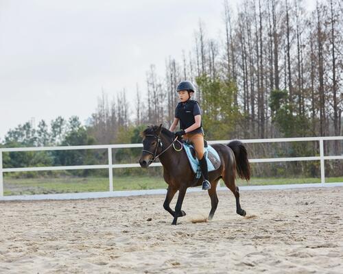 Quel gilet de protection équitation choisir ?