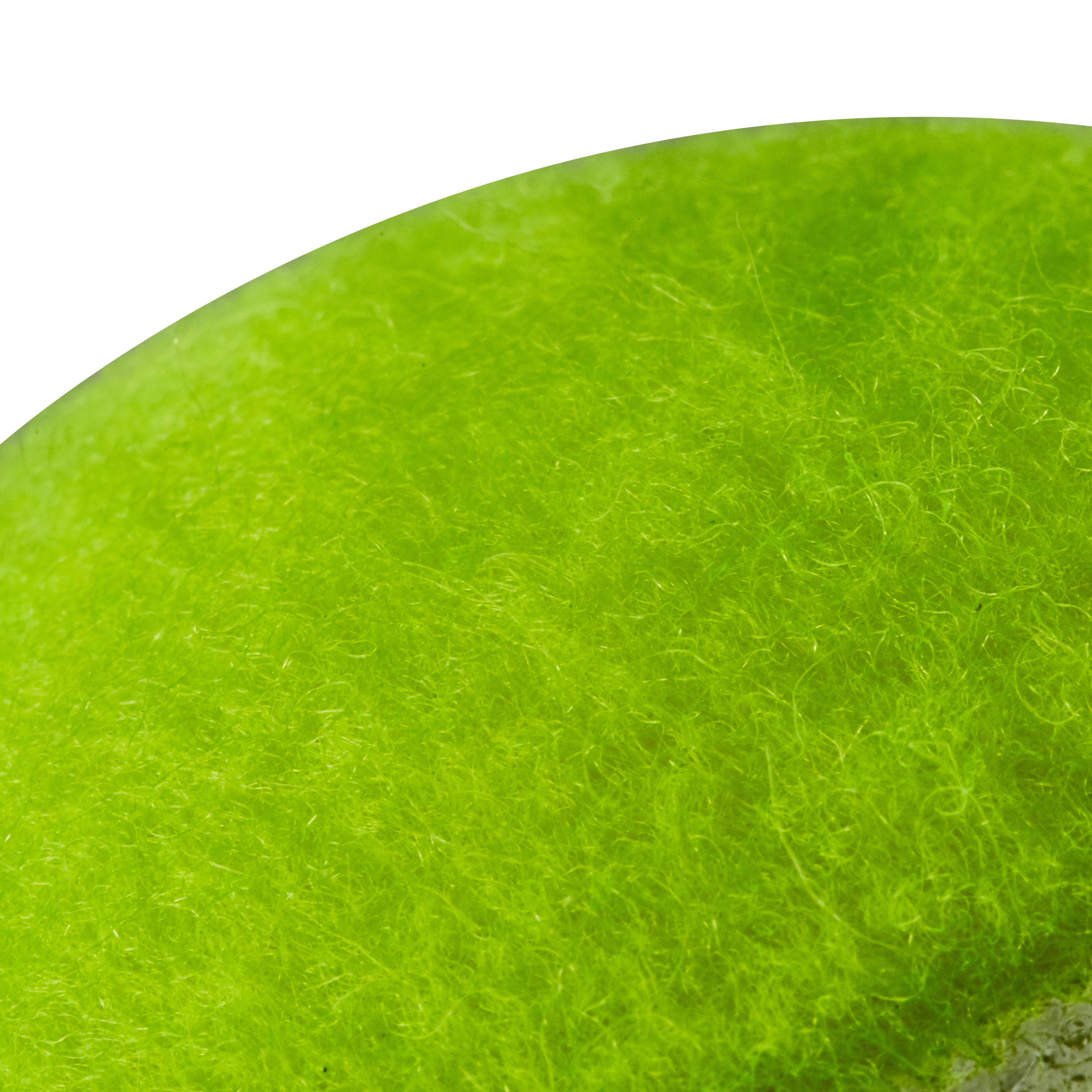 Tennis Beginner Ball TB800 Yellow