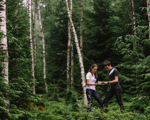 Mężczyzna i kobieta patrzący na mapę aby znaleźć wyjście z lasu