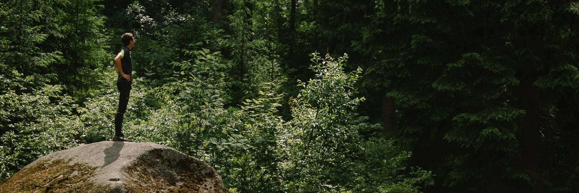 Großes Geschäft im Wald erledigen: So funktioniert´s!