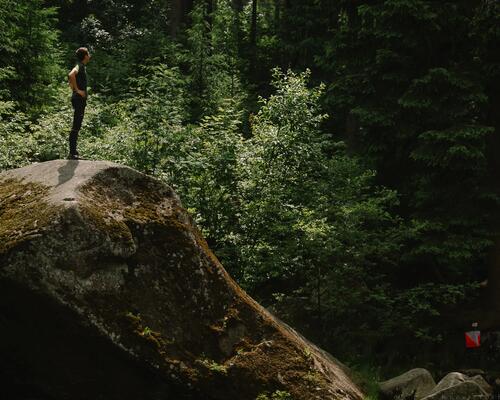 Defäkieren im Wald : Hygiene-Tipps für unterwegs