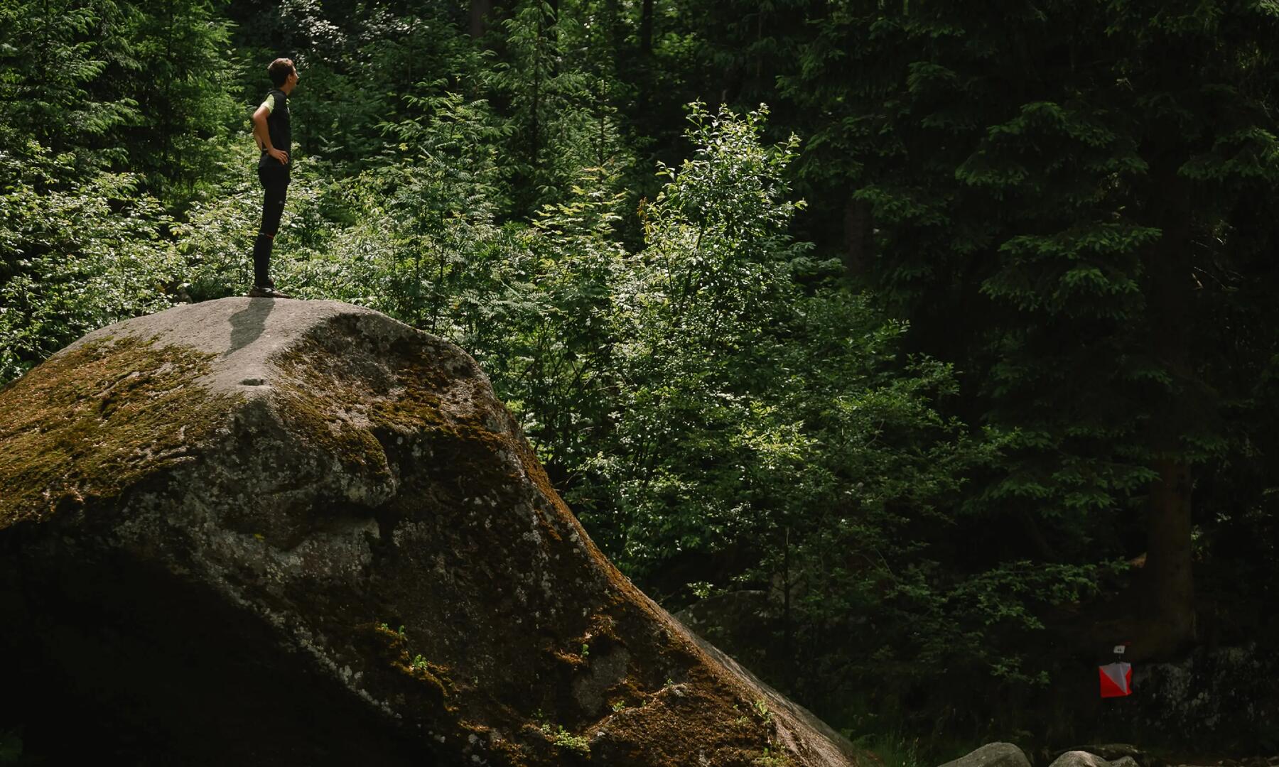 Mężczyzna stojący na skale w lesie