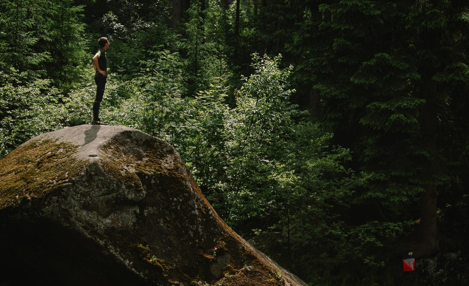 Person standing on a rock in a forest. 