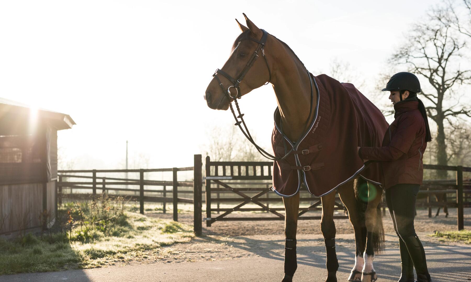 Quel gilet de protection équitation choisir ?